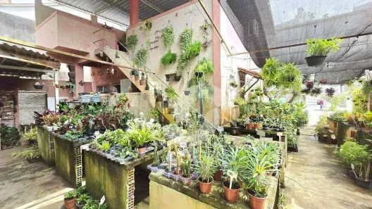 Imóvel Comercial com 2 Quartos à venda, 200m² no São Francisco, Niterói