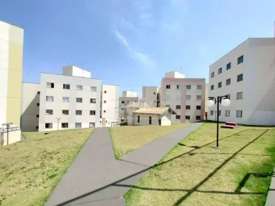 Apartamento com 2 Quartos para alugar, 44m² no Prefeito Mario de Menezes, Ibiporã