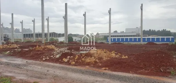 Galpão/Depósito/Armazém para alugar, 400m² no Cará-cará, Ponta Grossa