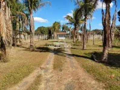 Fazenda/Sítio à venda, 5000m² no Panorama, Uberlândia