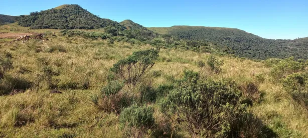 Fazenda/Sítio à venda, 20000m² no , Urubici