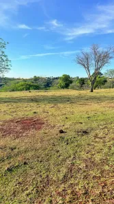 Fazenda/Sítio à venda, 82280m² no Marialva, Marialva
