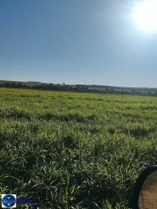 Lote/Terreno à venda, 400m² no Setor Central, Doverlândia