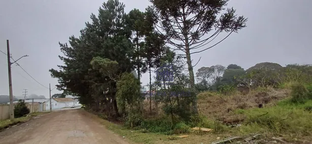 Lote/Terreno à venda, 732m² no Roseira de São Sebastião, São José dos Pinhais