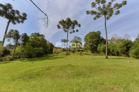 Fazenda/Sítio com 3 Quartos à venda, 250m² no Itaqui de Cima, Campo Largo