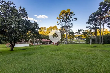 Fazenda/Sítio com 4 Quartos à venda, 200m² no Ribeirão das Onças, Colombo