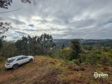 Fazenda/Sítio com 1 Quarto à venda, 68000m² no , Alfredo Wagner