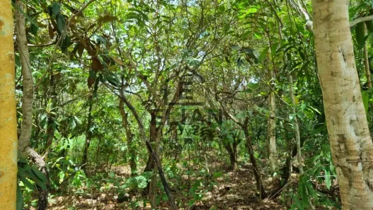 Lote/Terreno à venda, 360m² no , Chapada dos Guimarães
