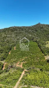 Fazenda/Sítio com 1 Quarto à venda, 78507m² no Guarani Mirim, Massaranduba