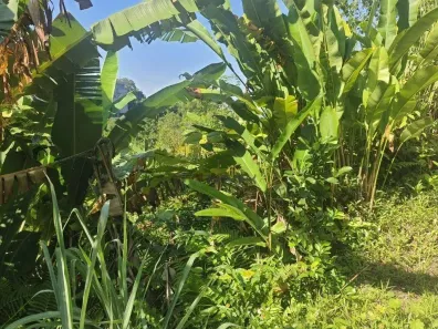Lote/Terreno à venda, 932m² no Marapé, Santos