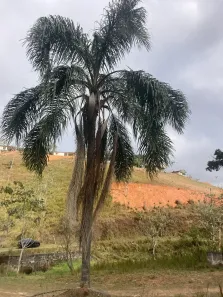 Lote/Terreno à venda, 600m² no Águas de Igaratá, Igaratá