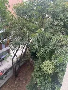 Apartamento com 2 Quartos à venda, 63m² no Leblon, Rio de Janeiro