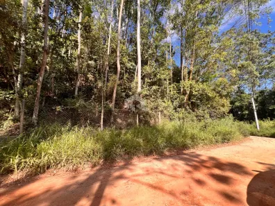 Lote/Terreno à venda, 1550m² no Apolinário, Mairiporã