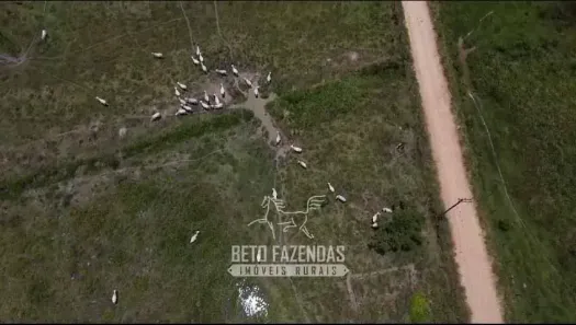 Fazenda/Sítio à venda, 3000800m² no , Silva Jardim