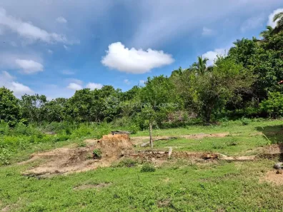 Fazenda/Sítio à venda, 10m² no Itapecuruzinho, Caxias
