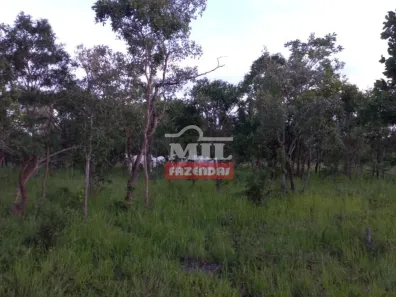 Fazenda/Sítio à venda, 500m² no , Arraias