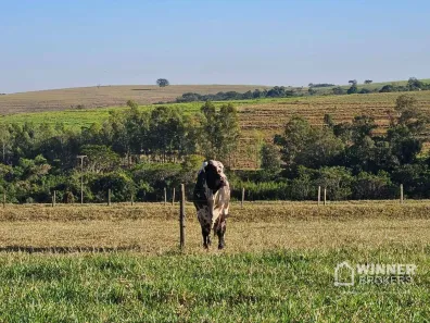 Fazenda/Sítio com 1 Quarto à venda, 240812m² no Nova Bilac, Floraí