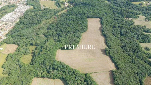 Lote/Terreno à venda, 181500m² no Botiatuva, Campo Largo