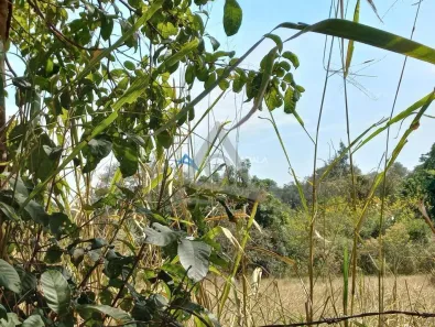 Lote/Terreno à venda, 20253m² no Sousas, Campinas