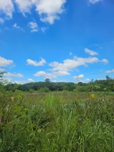 Lote/Terreno com 1 Quarto à venda, 4083m² no Campestre, Piracicaba