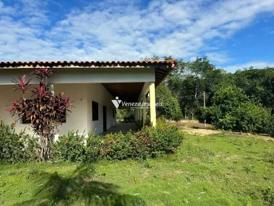 Fazenda/Sítio com 4 Quartos à venda, 90000m² no , Demerval Lobão