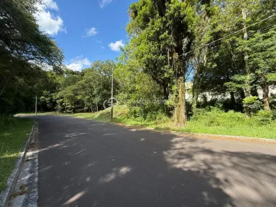 Lote/Terreno à venda, 800m² no Floresta, Gramado