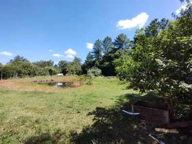 Fazenda/Sítio à venda, 11000m² no Lomba da Palmeira, Sapucaia do Sul