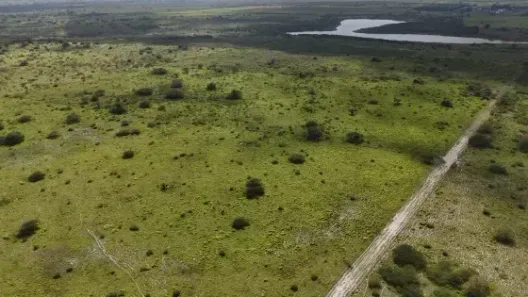 Fazenda/Sítio com 3 Quartos à venda, 3500000m² no , Monte Alegre