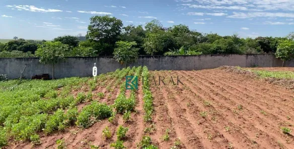 Fazenda/Sítio à venda, 1636m² no Vila Ernani, Floraí