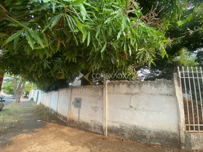 Lote/Terreno para alugar, 663m² no Jardim Guanabara, Campinas