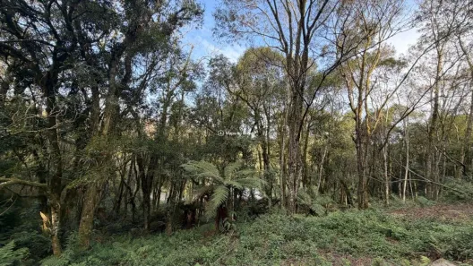 Lote/Terreno à venda, 611m² no Leodoro de Azevedo, Canela