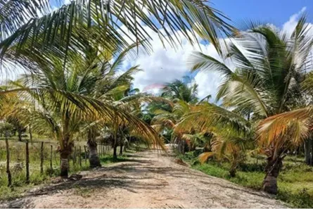 Fazenda/Sítio com 2 Quartos à venda, 557m² no Povoado Pontal do Peba, Piaçabuçu