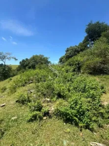 Lote/Terreno à venda, 12000m² no Parque Edu Chaves, São Paulo