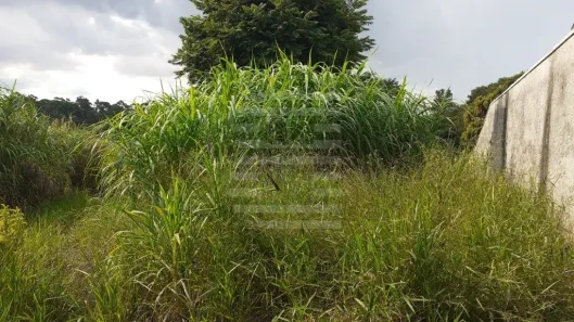 Lote/Terreno à venda, 2333m² no Vale Verde, Valinhos
