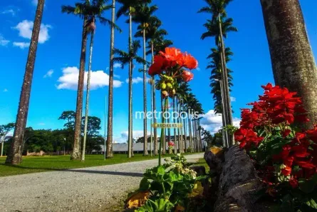 Lote/Terreno à venda, 24061m² no Alto da Ponte, São José dos Campos