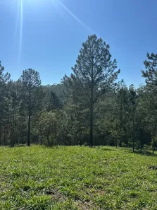 Lote/Terreno à venda, 1000m² no Jardim Vitoria, Mairinque