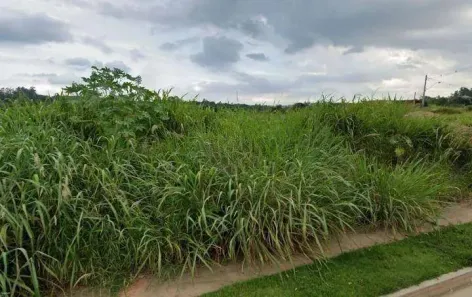 Lote/Terreno à venda, 280m² no Pinheirinho, Vinhedo
