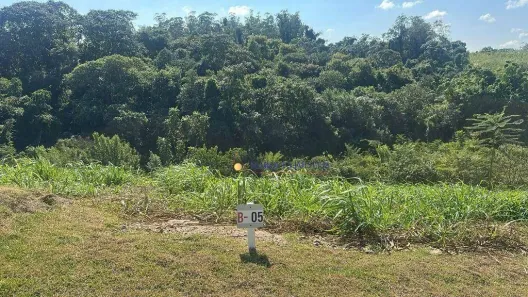 Lote/Terreno à venda, 250m² no Parque dos Estados, Louveira