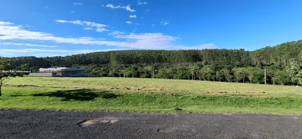 Lote/Terreno à venda, 1000m² no Centro, Salto de Pirapora
