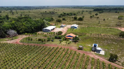 Fazenda/Sítio à venda, 100000m² no Quatro Bocas, Tomé-Açu