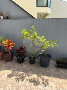 Sobrado com 4 Quartos à venda, 181m² no Chácara Inglesa (Zona Norte), São Paulo