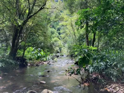 Fazenda/Sítio à venda, 145834m² no , Nova Petrópolis