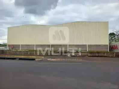 Casa com 1 Quarto para alugar, 3000m² no Distrito Industrial, Uberlândia