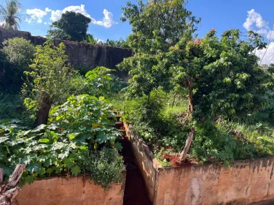 Fazenda/Sítio com 3 Quartos à venda, 500m² no Jurucê, Jardinópolis