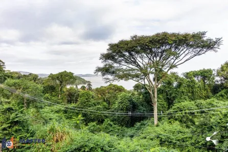 Lote/Terreno à venda, 1236m² no Sétimo Céu, Porto Alegre