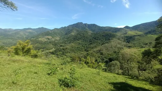 Fazenda/Sítio com 3 Quartos à venda, 6000m² no Rio Bonito, Rio Bonito