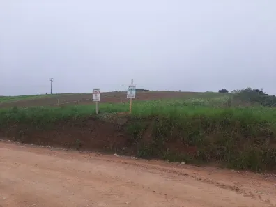 Lote/Terreno para venda ou aluguel, 9000m² no Colônia Murici, São José dos Pinhais