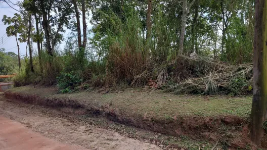 Lote/Terreno à venda, 1200m² no Caraguatá, Mairiporã