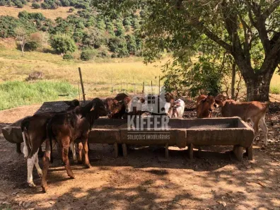 Fazenda/Sítio com 2 Quartos à venda, 500m² no Santo Antonio, Carmo