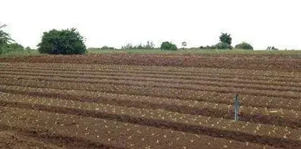 Lote/Terreno à venda, 60000m² no Helvétia, Indaiatuba